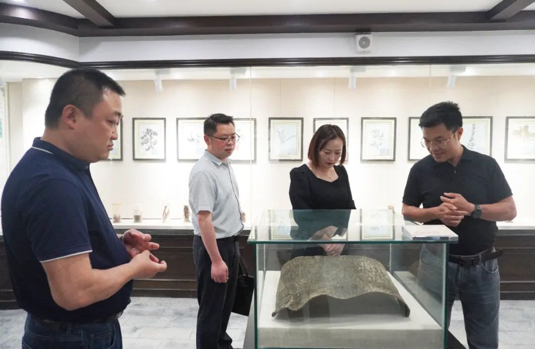 满堂彩·(中国区)官方网站